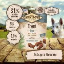 Kopia - Przysmaki Rybka dla alergika Carnilove pstrąg z koperkiem 10X200g d