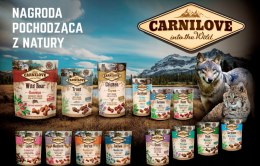 CARNILOVE JERKY Chicken&Quail 100g dla PSA