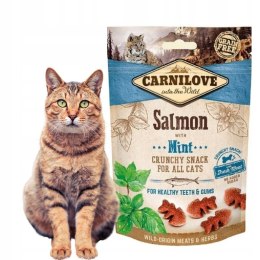 CARNILOVE CRUNCHY PRZYSMAK DLA KOTA łosoś z miętą 50g