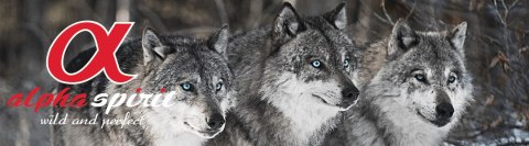 Alpha Spirit Wild Fish ryba10x200g