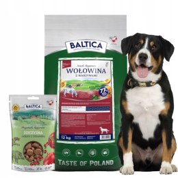 BALTICA SMAKI REGIONÓW Wołowina z warzywami M/L 12kg PYSZNY GRATIS