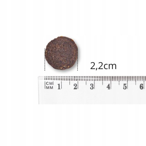 BALTICA sucha karma dla psa Jagnięcina królik M/L 3kg ŚREDNIE DUŻE RASY