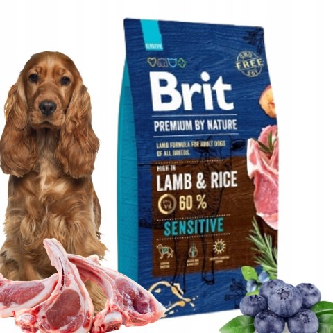 BRIT PREMIUM BY NATURE SENSITIVE LAMB 8kg 110-170844
