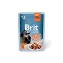 Brit Premium Cat Turkey fillets in gravy 85g indyk