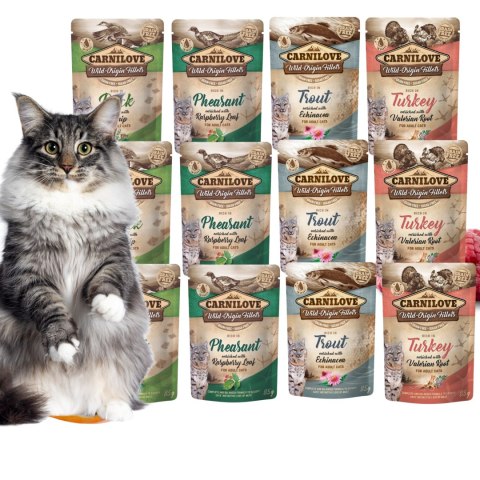 Carnilove Zestaw Saszetek dla kota 12x85 kaczka bażant przepiórka