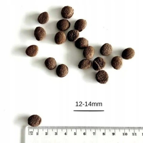 Farma Tłoczona na zimno Jagnięcina 2kg