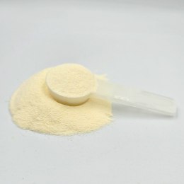 GAME DOG BARFER IsoDog nawodnienie izotonik witaminy dla psa 150 g