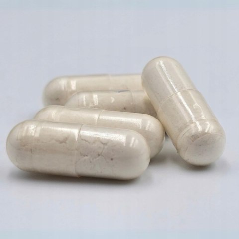 Game Dog Flora Protect 60 kaps. PROBIOTYK