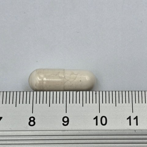 Game Dog Flora Protect 60 kaps. PROBIOTYK