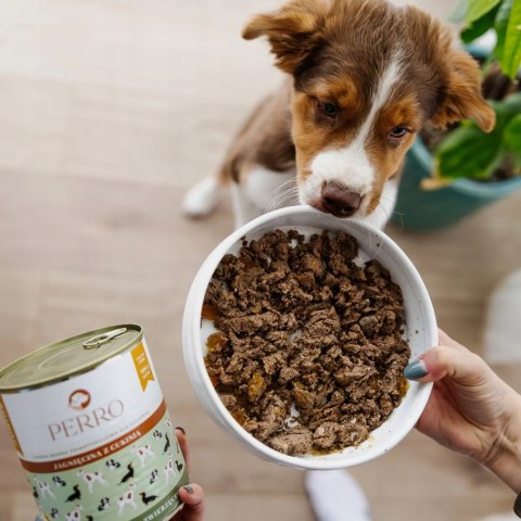 PERRO Junior Jagnięcina z Cukinią 800g karma dla szczeniąt