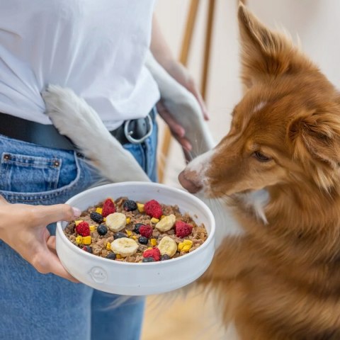 PERRO MIX & MATCH Banan przysmaki liofilizowane 20g