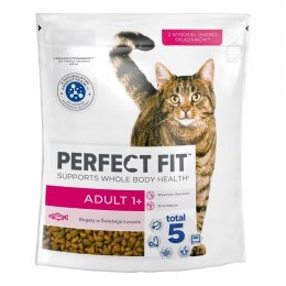 PerfectFit Adult Sucha karma dla kota dorosłego z łososiem 750g