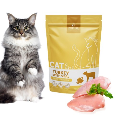 Pokusa Karma Sucha dla Kotów CatLine Indyk z Cielęciną 1 kg