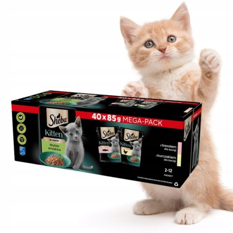 SHEBA Kitten wybór smaków mokra karma dla kociąt w sosie 40x85 g