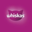 Whiskas 80x85 g Klasyczne Posiłki 2 boxy