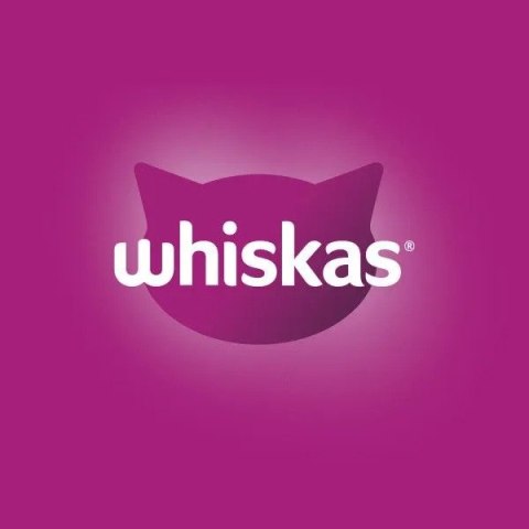 Whiskas 80x85 g Klasyczne Posiłki 2 boxy