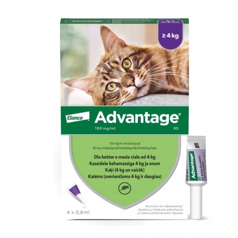 ADVANTAGE KOT 80 0,8 ml 4 tuby (powyżej 4 kg) (roztwór do nakraplania na sk