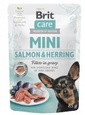 "Brit Care Mini Pouch Rabbit & Salmon 85g".