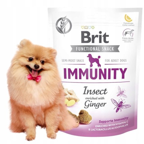 Brit Functional Immunity Insect 150g PRZYSMAK FUNKCYJNY DLA PSA