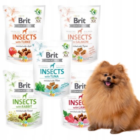 Brit INSECT Crunchy Cracker 5x200 ADULT LAMB RABBIT