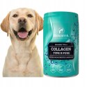 HOLISTA Collagen Typ II PURE 200g KOLAGEN ODBUDOWA CHRZĄSTKI DYSPLAZJA