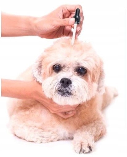 TOTOBI Naturalny Olejek Spacerowo Ochronny 30ml ochrona przeciwkleszczowa