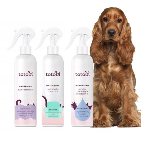 Totobi 3X300 SUCHY SZAMPON NEUTRALIZATOR, MGIEŁKA UŁATWIAJĄCA ROZCZESYWANIE