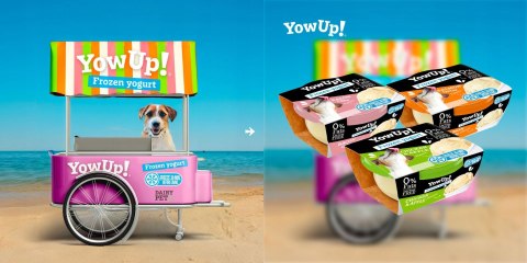 YOW UP! Salmon Tartar - Zdrowe Lody Jogurt do mrożenia Tatar z Łososia 110g