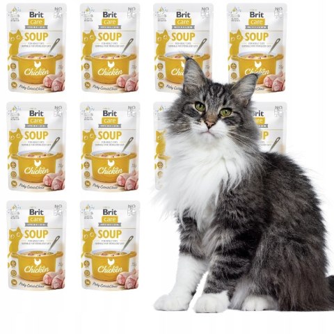 Zestaw Brit Care CAT SOUP 10X75 Saszetki dla kota chicken rosołek