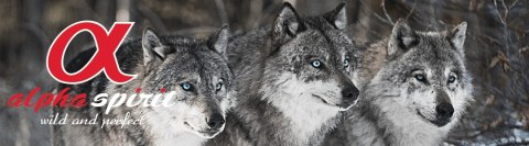 Alpha Spirit MULTIPROTEIN półmokra tacka 200G