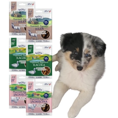 BALTICA 6x30 przysmaki treningowe JAGNIĘCINA JELEŃ KACZKA 100% MONOPROTEIN