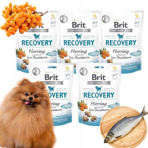 BRIT FUNCTIONAL RECOVERY smaczki dla psa 5X150 PRZYSMAKI REGENERACJA