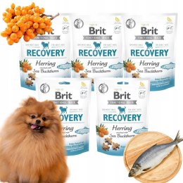 BRIT FUNCTIONAL RECOVERY smaczki dla psa 5X150 PRZYSMAKI REGENERACJA