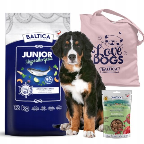 Baltica Junior Hypoallergenic 12kg Karma dla juniora z łososiem duże rasy