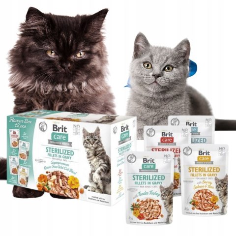 Brit Care Cat Sterilized Flavour Box Pouch 12x85g delikatne saszetki kastra
