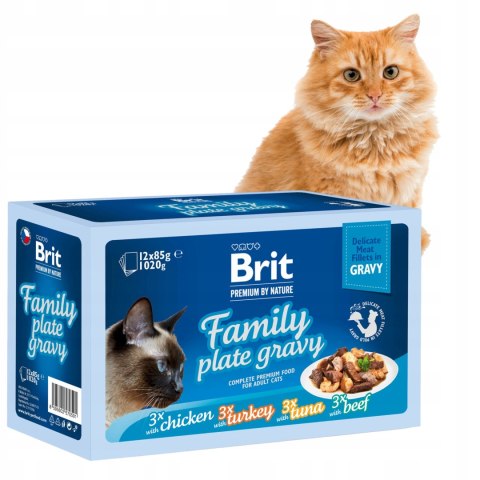 Brit Family Plate Gravy 12x85 Pouch Saszetki kot