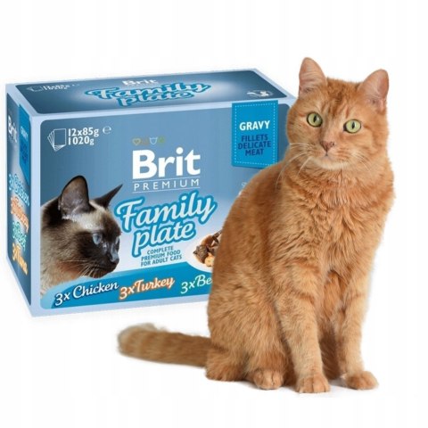Brit Family Plate Gravy 12x85 Pouch Saszetki kot