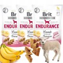 Brit Functional Endurance Lamb Banana 150g PRZYSMAK FUNKCYJNY DLA PSA