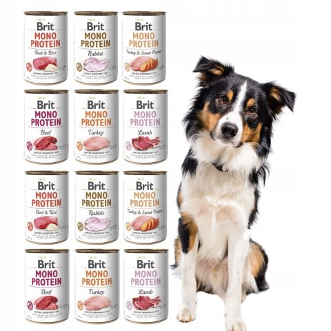 Brit MonoProtein MIX MEGA SMAKI 12x400g 6 smaków