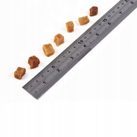 Fish4Dogs Training Salmon Bites NAJLEPSZE SMACZKI