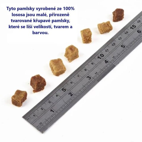 Fish4Dogs Training Salmon Bites NAJLEPSZE SMACZKI