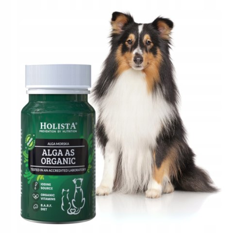 Holista Alga as Organic 90 tabletek
