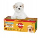 Pedigree Junior Wybór Smaków 40x100g Mokra Karma Dla Szczeniąt W Galaretce