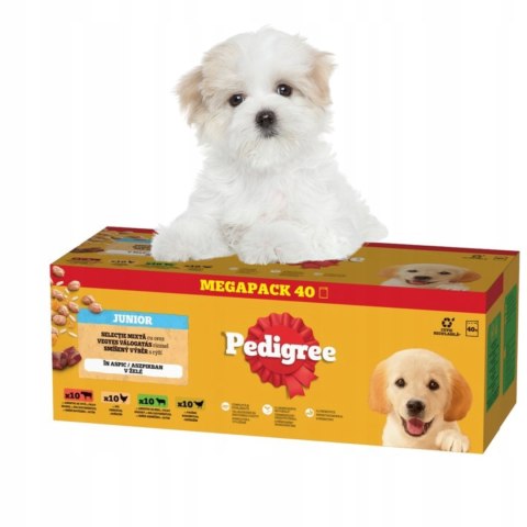 Pedigree Junior Wybór Smaków 40x100g Mokra Karma Dla Szczeniąt W Galaretce