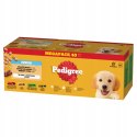 Pedigree Junior Wybór Smaków 40x100g Mokra Karma Dla Szczeniąt W Galaretce