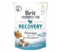Smakołyk Brit Care Functional Snack Recovery 150g