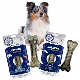 BALTICA ZESTAW NAJLEPSZYCH KOSTEK DO ŻUCIA KOŚĆ 12