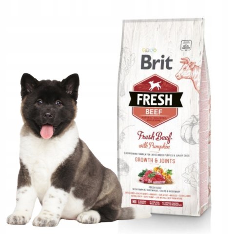 BRIT FRESH PUPPY LARGE BEEF&PUMPKIN 2,5 kg