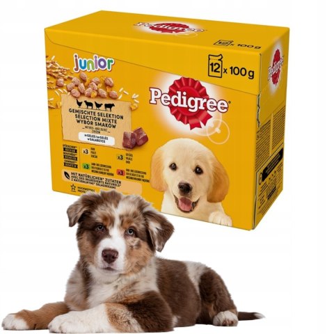 PEDIGREE Junior mokra karma mix smaków 12x 100g