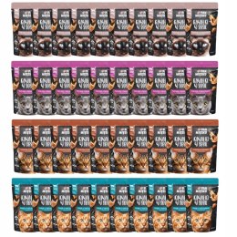 Pan Mięsko MEGA ZESTAW SASZETKI mokra karma dla kota WSZYSTKIE SMAKI 48x85